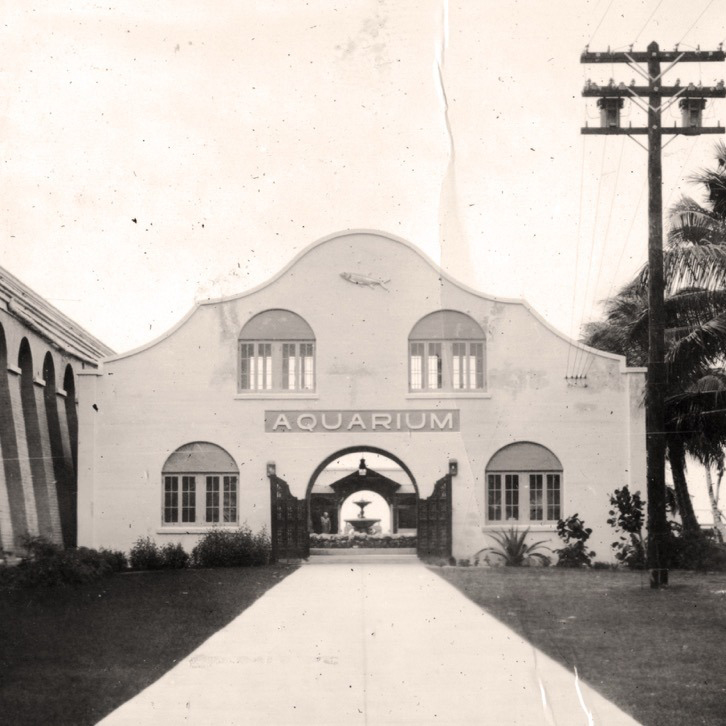 53836897001 9d14d3a545 o Large copy