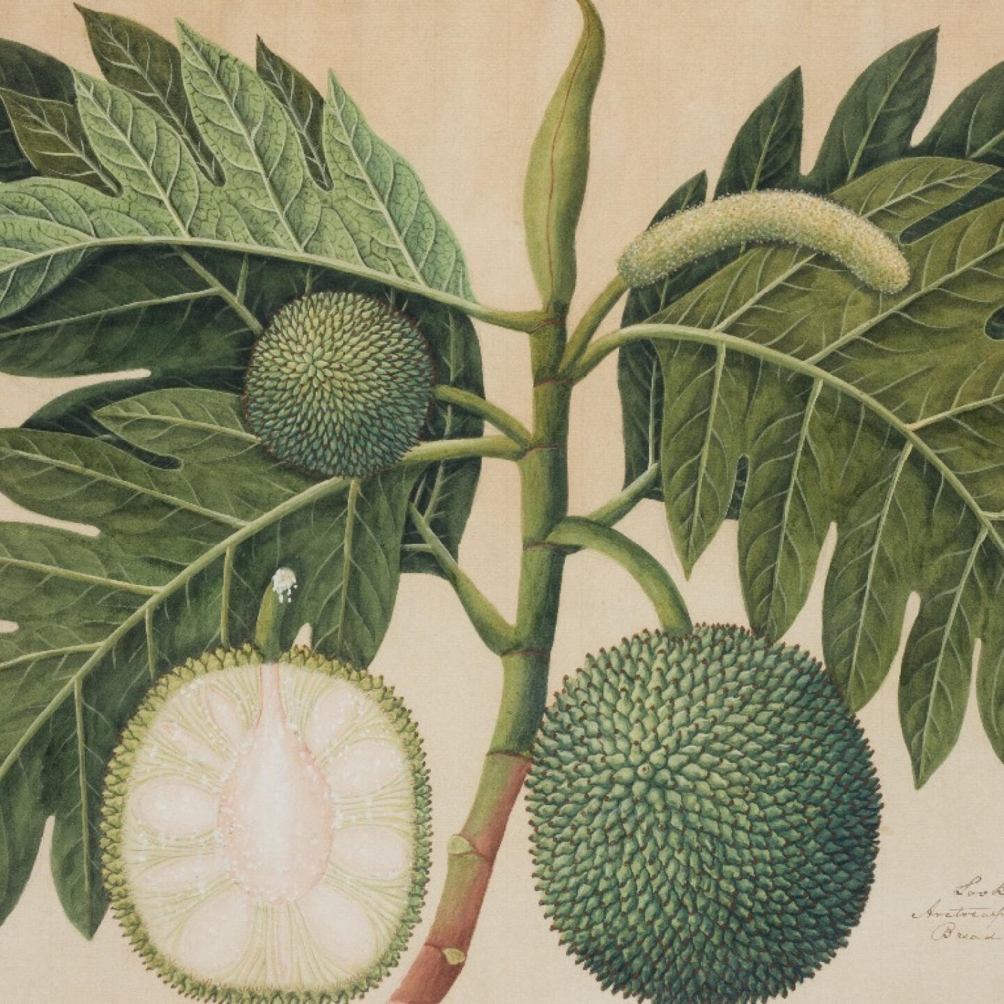 9484c16b-8f45-42bc-8812-6dbd877406f8