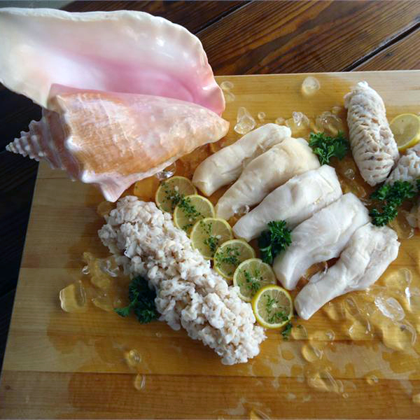 Conch.2_cc2c5fc6-20da-473e-bb4b-cd4891231023